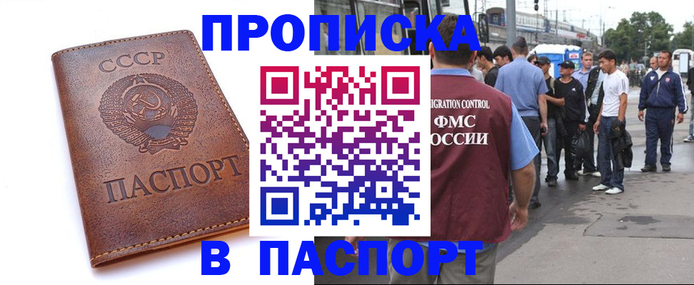 временная регистрация поиск в Луге